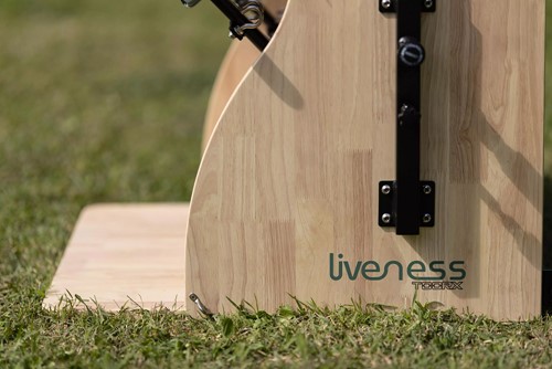 Toorx Liveness PTX1800 Wunda Chair