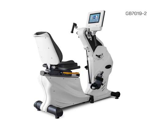 Body Charger Total Recumbent GB7019 TFT