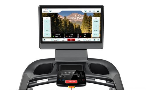 Gymost 7940 TFT 23,8”