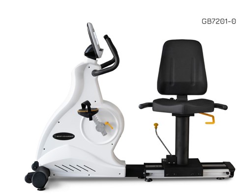 Body Charger GB7201 LCD 9"