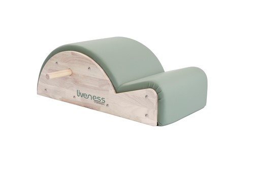 Toorx Liveness PTX1700 Spine Corrector