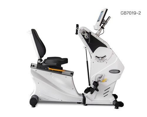 Body Charger Total Recumbent GB7019 TFT