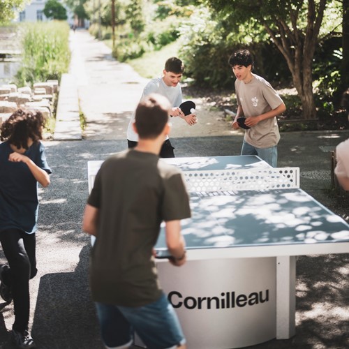 Cornilleau Campus 510M niebieski