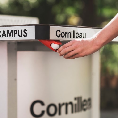 Cornilleau Campus 510M niebieski