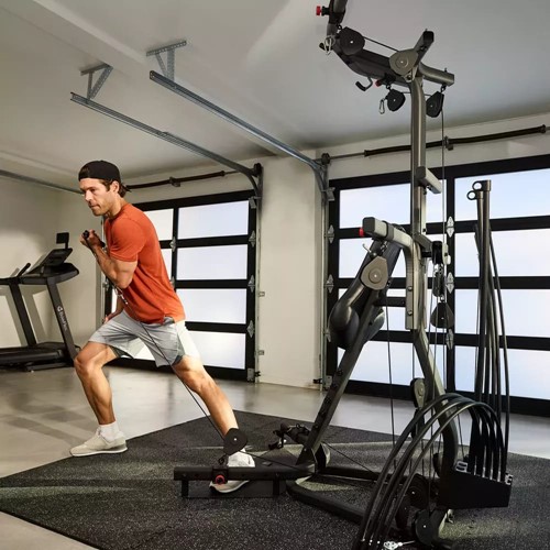 Bowflex Xtreme 2SE