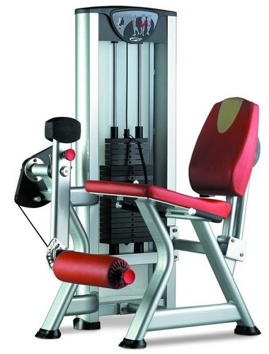 Maszyna Profesjonalna BH FitnessHiPower X010 Czworogłowy uda