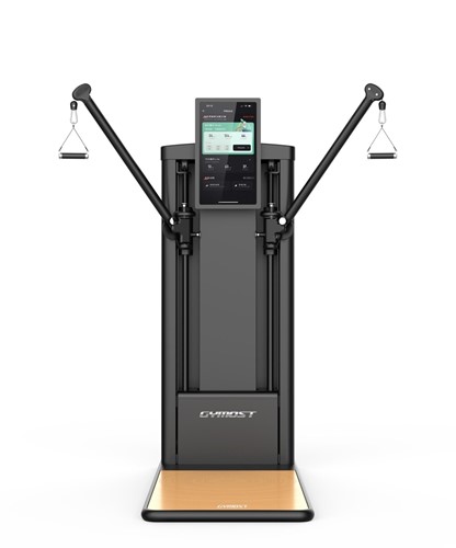 Gymost L838T Dual Cable Crossover