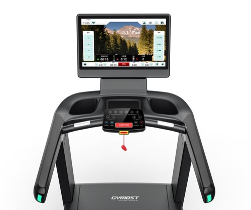 Gymost 7940 TFT 23,8”