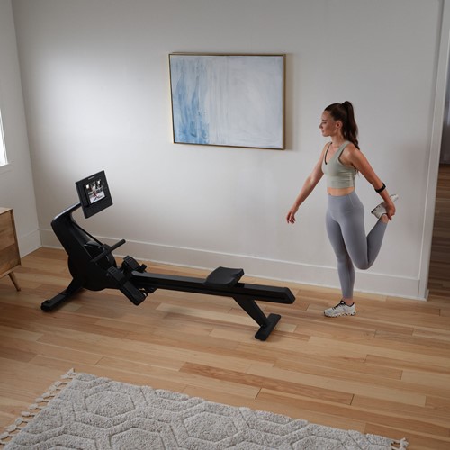 NordicTrack RW 300