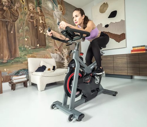 Flow Fitness Racer DSB600i