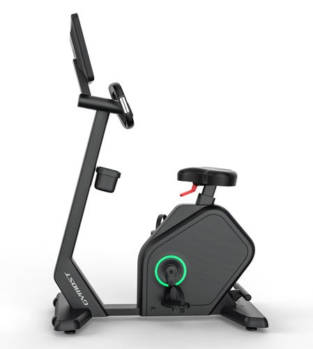 Gymost B12 TFT 21,5"