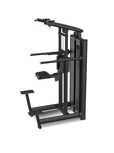 Gymost L607 Dip/Chin Assist