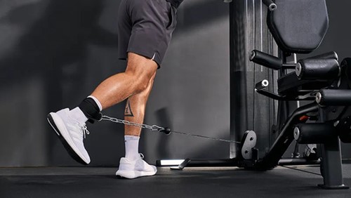 Hammer Maximum Autark 3.0