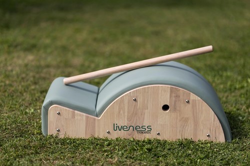 Toorx Liveness PTX1700 Spine Corrector
