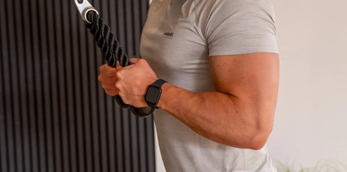 Hammer Bio Force Studio Power