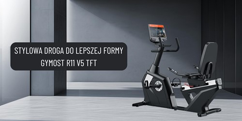 Gymost R11 V5 TFT 15,6"