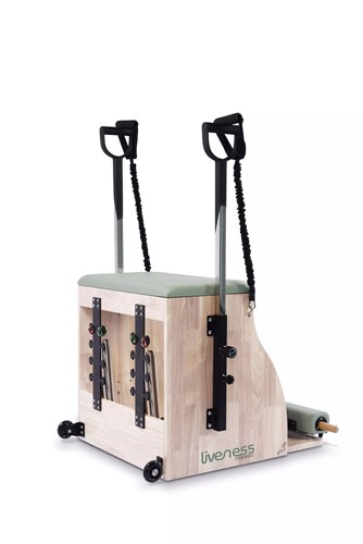 Toorx Liveness PTX1800 Wunda Chair