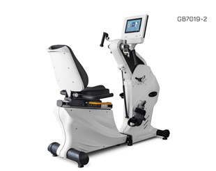 Body Charger Total Recumbent GB7019 TFT