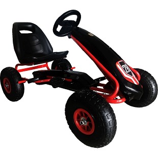 Gokart Enero 02