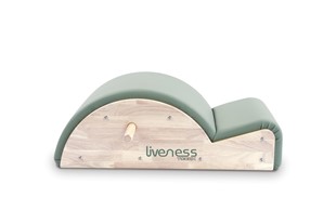Toorx Liveness PTX1700 Spine Corrector