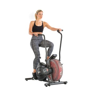 Schwinn AD2i