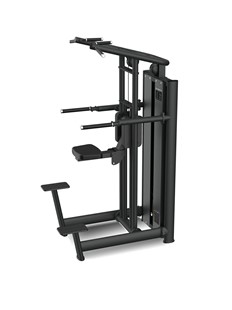Gymost L607 Dip/Chin Assist