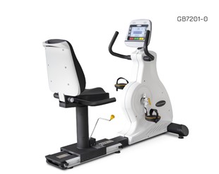 Body Charger GB7201 LCD 9"